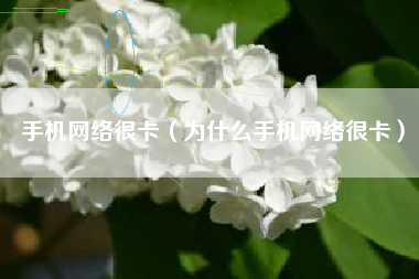 手机网络很卡(为什么手机网络很卡)