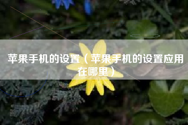 苹果手机的设置(苹果手机的设置应用在哪里)