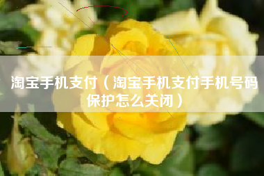 淘宝手机支付(淘宝手机支付手机号码保护怎么关闭)