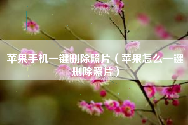 苹果手机一键删除照片(苹果怎么一键删除照片)
