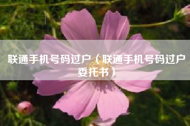 联通手机号码过户(联通手机号码过户委托书)