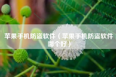 苹果手机防盗软件(苹果手机防盗软件哪个好)
