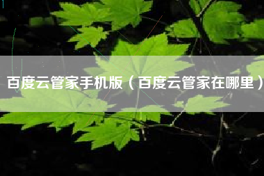 百度云管家手机版(百度云管家在哪里)