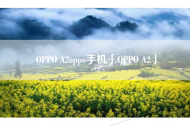 OPPO A2oppo手机「OPPO A2」