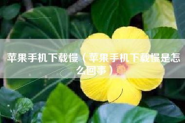 苹果手机下载慢(苹果手机下载慢是怎么回事)