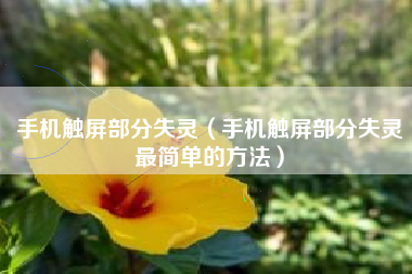 手机触屏部分失灵(手机触屏部分失灵最简单的方法)