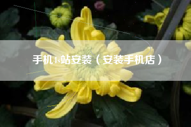 手机4s站安装(安装手机店)