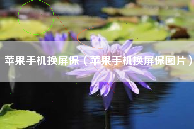 苹果手机换屏保(苹果手机换屏保图片)