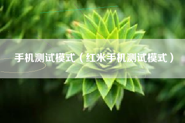 手机测试模式(红米手机测试模式)