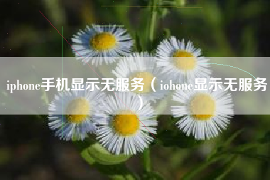 iphone手机显示无服务(iohone显示无服务)