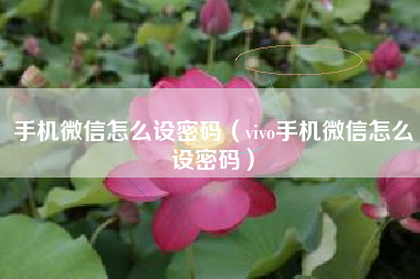手机微信怎么设密码(vivo手机微信怎么设密码)
