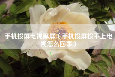 手机投屏电视黑屏(手机投屏投不上电视怎么回事)