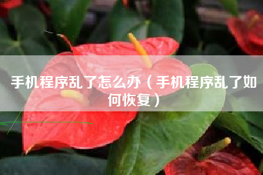 手机程序乱了怎么办(手机程序乱了如何恢复)