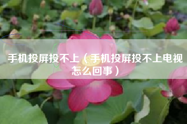 手机投屏投不上(手机投屏投不上电视怎么回事)