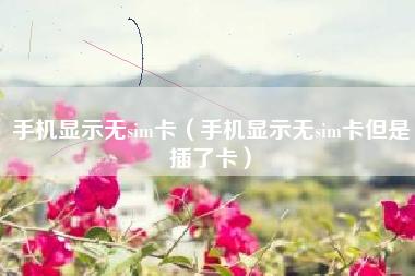 手机显示无sim卡(手机显示无sim卡但是插了卡)