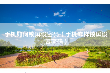 手机如何锁屏设密码(手机咋样锁屏设置密码)