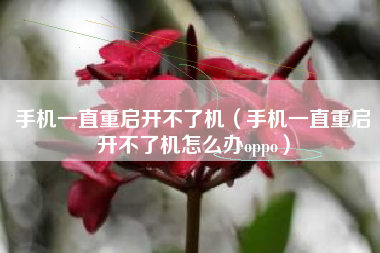 手机一直重启开不了机(手机一直重启开不了机怎么办oppo)
