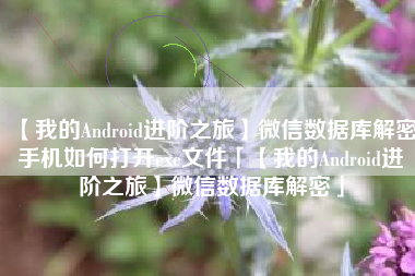 【我的Android进阶之旅】微信数据库解密手机如何打开exe文件「【我的Android进阶之旅】微信数据库解密」