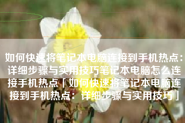 如何快速将笔记本电脑连接到手机热点:详细步骤与实用技巧笔记本电脑怎么连接手机热点「如何快速将笔记本电脑连接到手机热点:详细步骤与实用技巧」